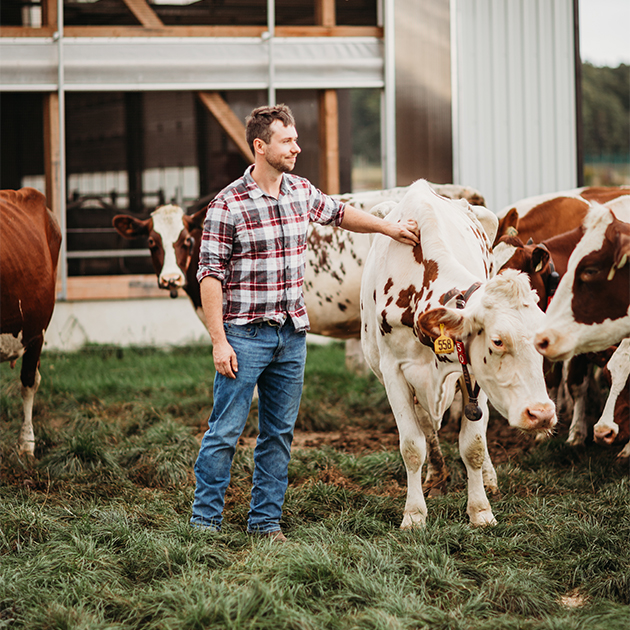 Farmer feeding calves